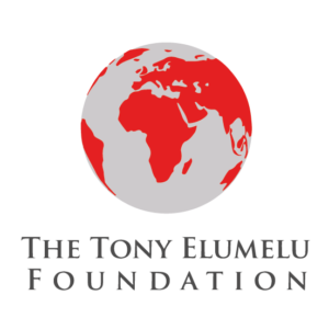 The-Tony-Elumelu-Foundation